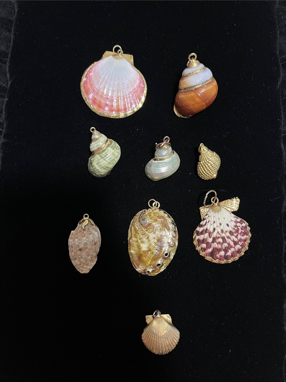 Shell Pendants